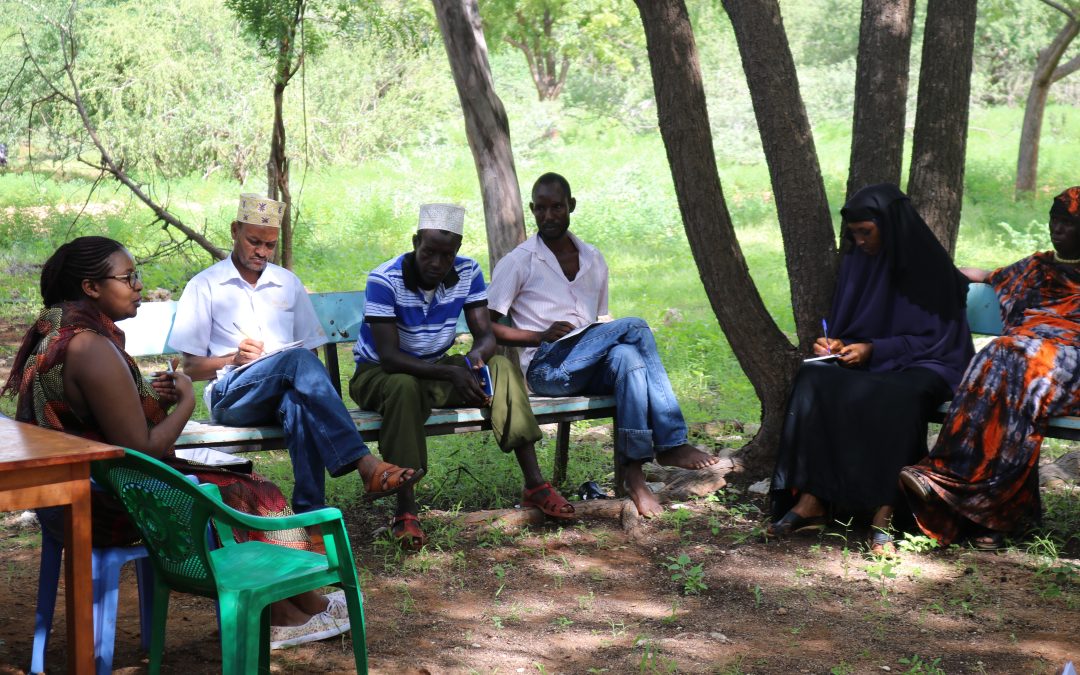 Citizen Participation & Local Accountability