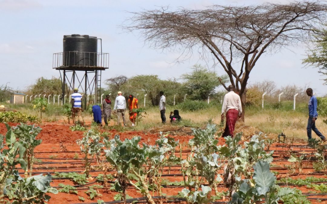 Climate Resilience & Water Justice
